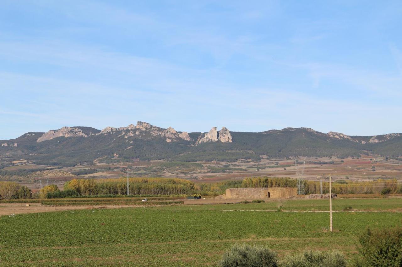 Rivera Del Tiron Apartamentos Cuzcurrita-Río Tirón Buitenkant foto